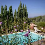 Teresa By Interhome Cortona